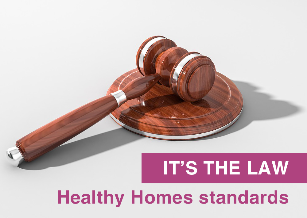 healthy homes standards into law _ ruby housing.jpg