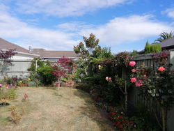 416 Wairakei Rd | $670 weekly
