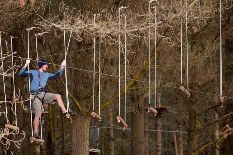 Adrenalin Forest Christchurch
